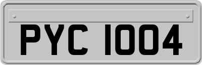 PYC1004