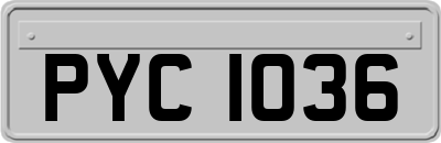 PYC1036