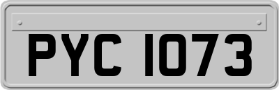 PYC1073