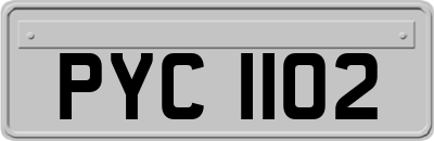 PYC1102