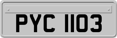 PYC1103