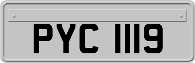 PYC1119