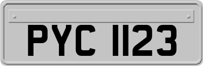 PYC1123