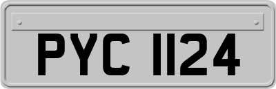 PYC1124