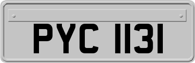 PYC1131