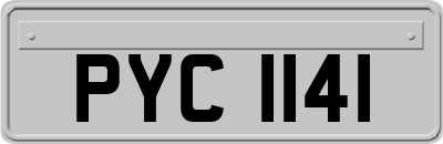 PYC1141