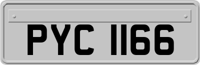 PYC1166