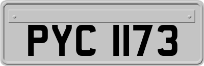 PYC1173