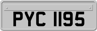 PYC1195