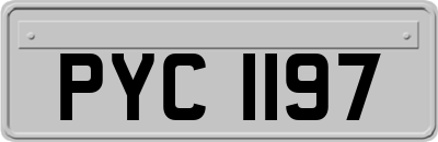 PYC1197