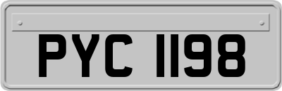 PYC1198