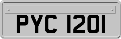 PYC1201