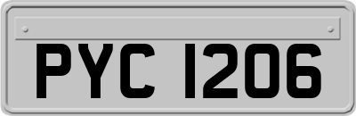 PYC1206