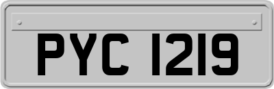 PYC1219