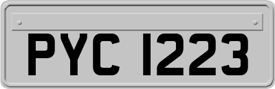 PYC1223