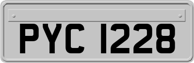 PYC1228