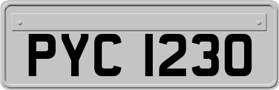 PYC1230