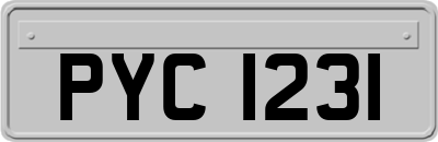 PYC1231