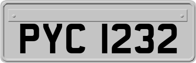 PYC1232