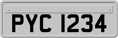 PYC1234