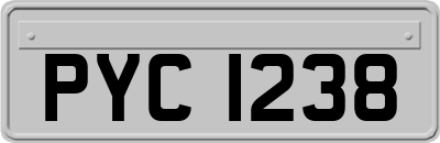 PYC1238