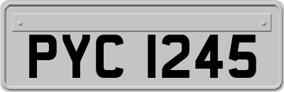 PYC1245