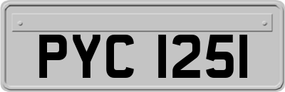 PYC1251