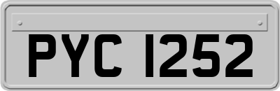 PYC1252