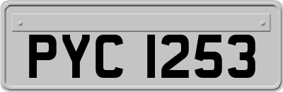 PYC1253