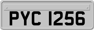 PYC1256