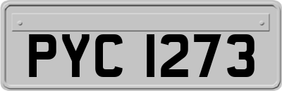 PYC1273