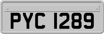 PYC1289