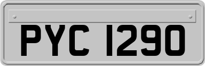 PYC1290