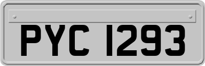 PYC1293