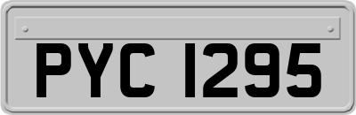 PYC1295