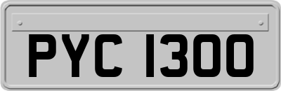 PYC1300