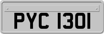 PYC1301