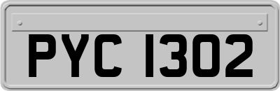 PYC1302