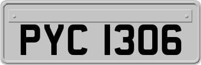 PYC1306