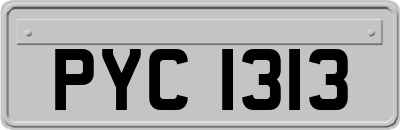 PYC1313