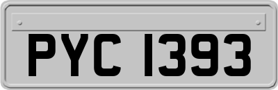 PYC1393