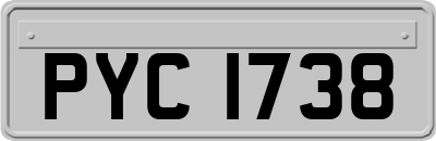 PYC1738