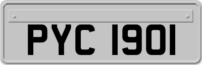 PYC1901