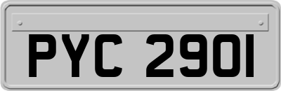 PYC2901