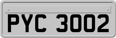 PYC3002