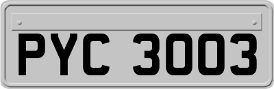 PYC3003