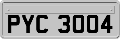 PYC3004