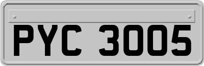 PYC3005