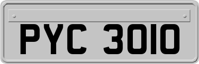 PYC3010