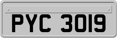 PYC3019